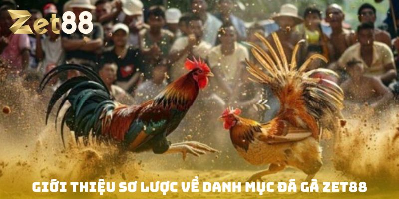 Đá gà Zet88