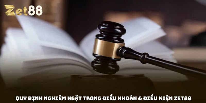 Điều khoản & điều kiện